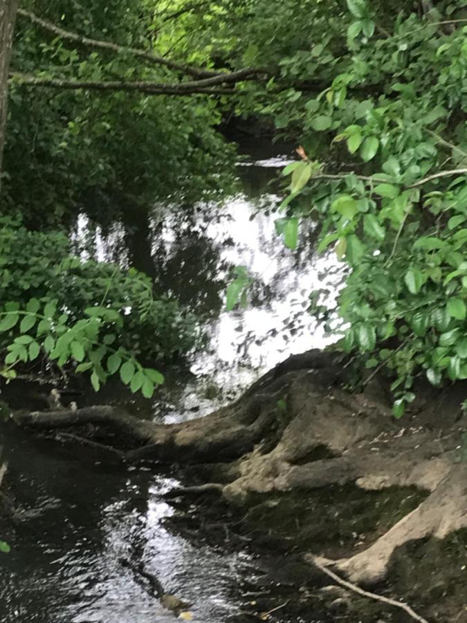 Reveil Aux Chants Des Oiseaux Asse-le-Riboul Kültér fotó