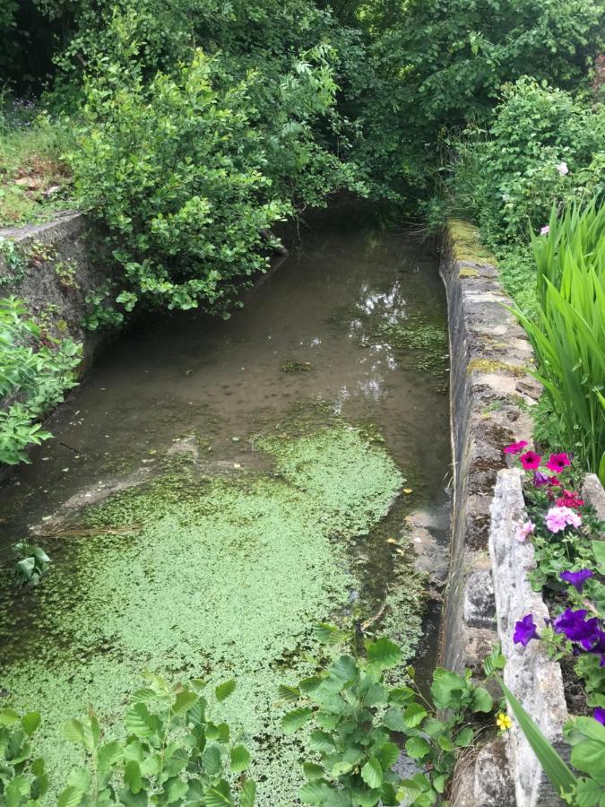Reveil Aux Chants Des Oiseaux Asse-le-Riboul Kültér fotó