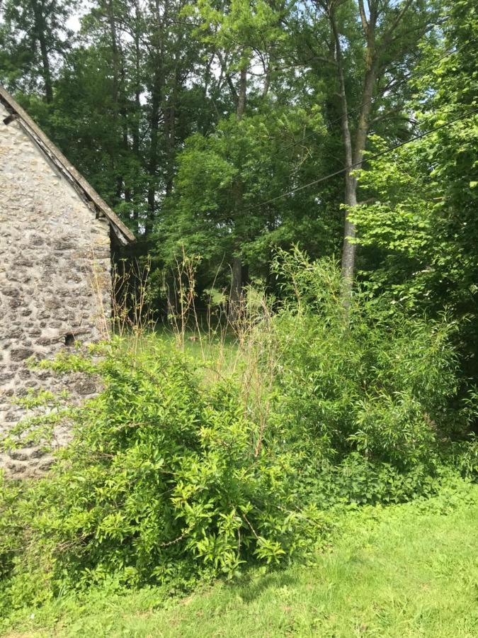 Reveil Aux Chants Des Oiseaux Asse-le-Riboul Kültér fotó